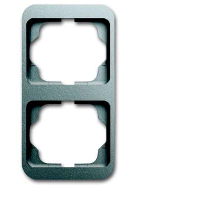 Busch-Jaeger 2CKA001754A4393 Frame Frame 2-voudig Platina 1 stuk(s)