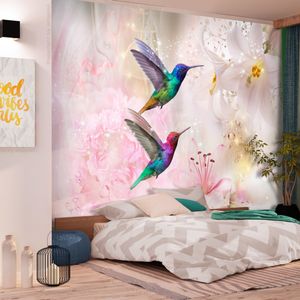 Fotobehang - Kleurrijke Kolibries op roze achtergrond, premium print vliesbehang