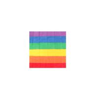Vlag Divertysex Multicolour 12 Onderdelen