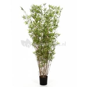 Kunstplant Bamboe oriental S