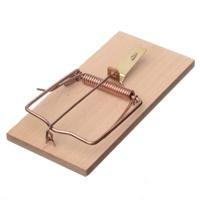 Nature rattenval hout