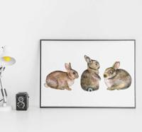 Stickers boerderijdieren Realistisch konijn