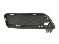 Ventilatiegrille, bumper 6502070093915P