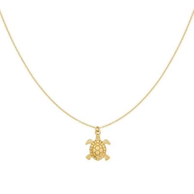 Gouden ketting met schildpad Gouden ketting met schildpad