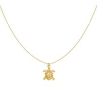 Gouden ketting met schildpad