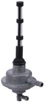 RMS Fuel taps