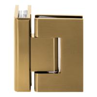 BRAUER Glasscharnier 90 graden 2 stuks PVD goud geborsteld