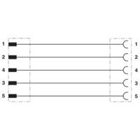 Phoenix Contact 1416102 Sensor/actuator aansluitkabel Aantal polen: 5 1.00 m 1 stuk(s) - thumbnail