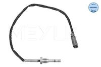 Sensor, uitlaatgastemperatuur 1148000254