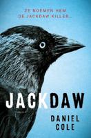 Jackdaw