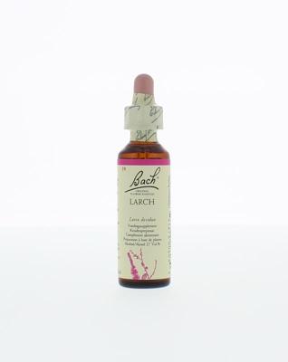 Bach Larch/lariks