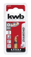 Bit Diamond 25 mm pozidrive Nr. 2 kaart - Eurofix