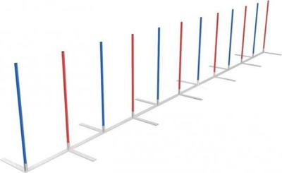 Agility Slalom
