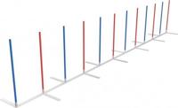 Agility Slalom