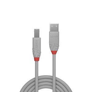 Lindy 36681 0.5m USB A USB B Mannelijk Mannelijk Grijs USB-kabel