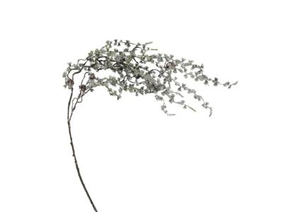 Kunst podocarpus tak groen/wit, 120 cm - Buitengewoon de boet