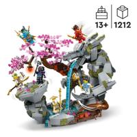 LEGO ninajago 71819 altaar van de stenen draak LEGO ninajago 71819 altaar van de stenen draak