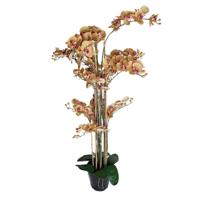 Phalaenopsis Orchidee in pot 140 cm Tiger Yellow kunstplant Buitengewoon de Boet - Buitengewoon de boet