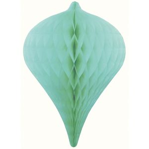 1x Decoratie honeycomb pegels mintgroen 30 cm feestversiering