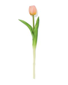 HEMA Kunstbloem 34cm Tulp Lichtroze
