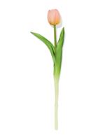 HEMA Kunstbloem 34cm Tulp Lichtroze