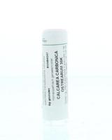 Homeoden Heel Calcarea carbonica ostrearum 30K 6 Gram