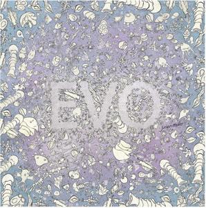 Evo (Hardback)
