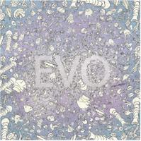 Evo (Hardback) Evo (Hardback)