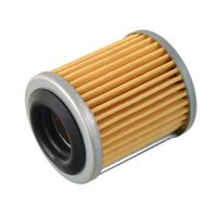 versnellingsbakoliefilter 170739