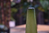 Zzing vaas Long 25 cm - mosgroen