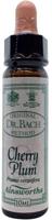 Ainsworths Cherry plum Bach 10 Milliliter