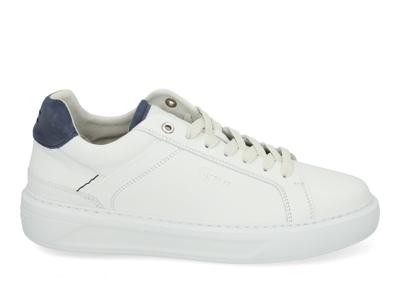 Greve Delft 2131.02 3493 white Wit maat 41 Greve Delft 2131.02 3493 white Wit maat 41