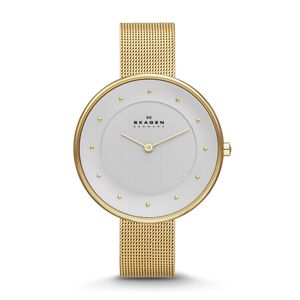 Skagen horlogeband SKW2141 / 11XXXX Staal Doublé 14mm