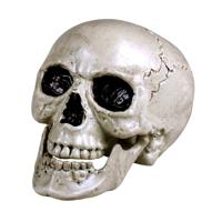 Horror decoratie schedel/doodskop met beweegbare kaak - 20 x 15 cm - Halloween kerkhof versiering Horror decoratie schedel/doodskop met beweegbare kaak - 20 x 15 cm - Halloween kerkhof versiering
