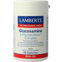 Glucosamine & phytodroitine complex - thumbnail
