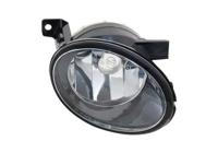 Mistlamp rechts 5863996