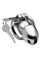 Rikers 24-7 Stainless Steel Locking Chastity Cage - Silver - thumbnail