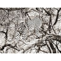 MondiArt Alu Leopard climb 1041172 MondiArt Alu Leopard climb 1041172