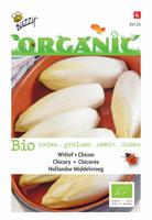 Zaden Organic Witlof Hollandse Middelvroeg (BIO) Buzzy - Buzzy