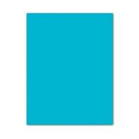 Fiches Iris Turkoois 50 x 65 cm