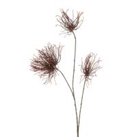 Thistle