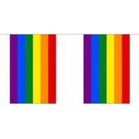 Gay pride regenboog vlaggenlijn 9 m   -