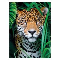 Clementoni puzzel jaguar in de jungle, 500st.