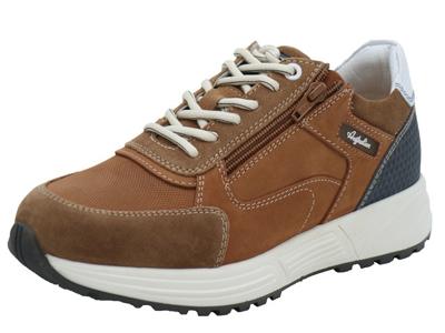 Australian Discover Australian Discover