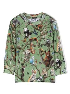 Molo t-shirt à imprimé animalier - Vert