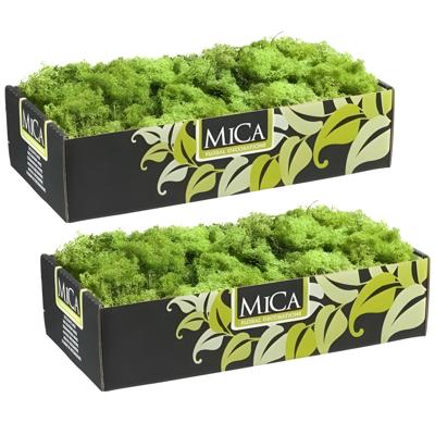 Mica Decorations Rendiermos - 1 kilo - groen - hobby mos Mica Decorations Rendiermos - 1 kilo - groen - hobby mos