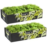 Mica Decorations Rendiermos - 1 kilo - groen - hobby mos