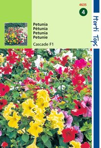 Petunia Pendula Cascade F1 Hybride Gem. - Hortitops