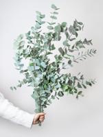 Voeg eucalyptus toe aan je boeket