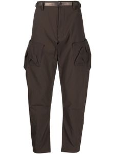 Spoonyard pantalon cargo à logo appliqué - Marron